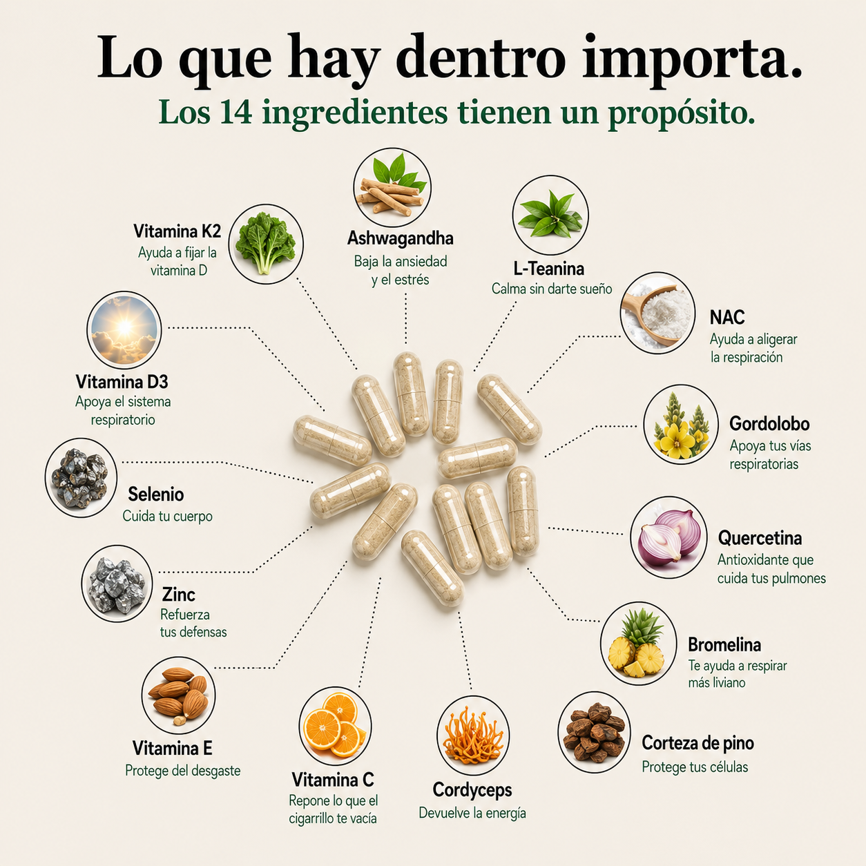 PulmoCalm | Cápsulas Premium de Doble Acción para Respirar Mejor y Controlar la Ansiedad